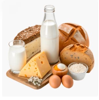 Dairy, Eggs & Fridge