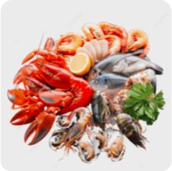 Meat & Seafood