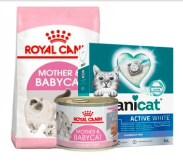 Cat Food